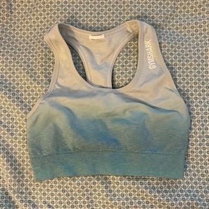 Gymshark adapt ombré seamless bra